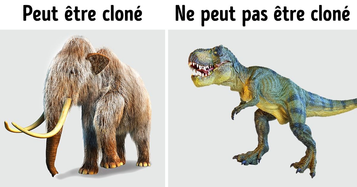 5 Informations intéressantes sur l’ADN qui révèlent la sagesse de la nature
