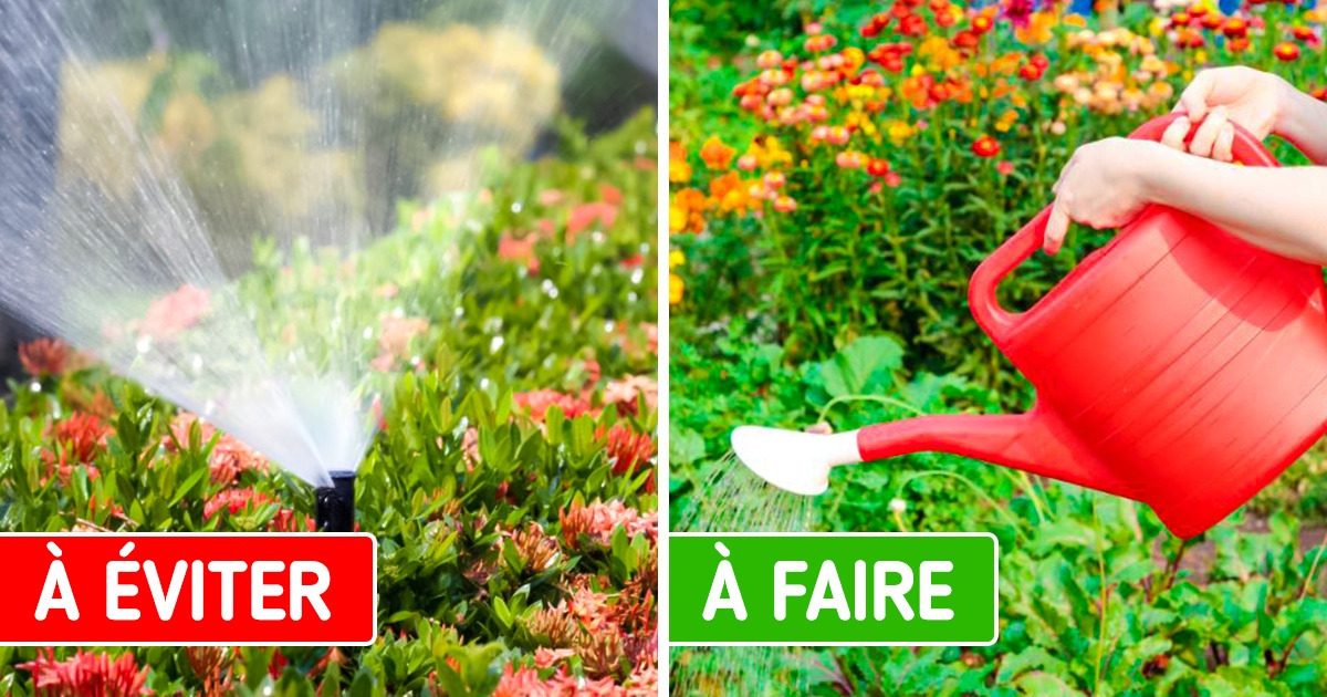 10+ Astuces simples de jardinage pour un potager écologique et économique