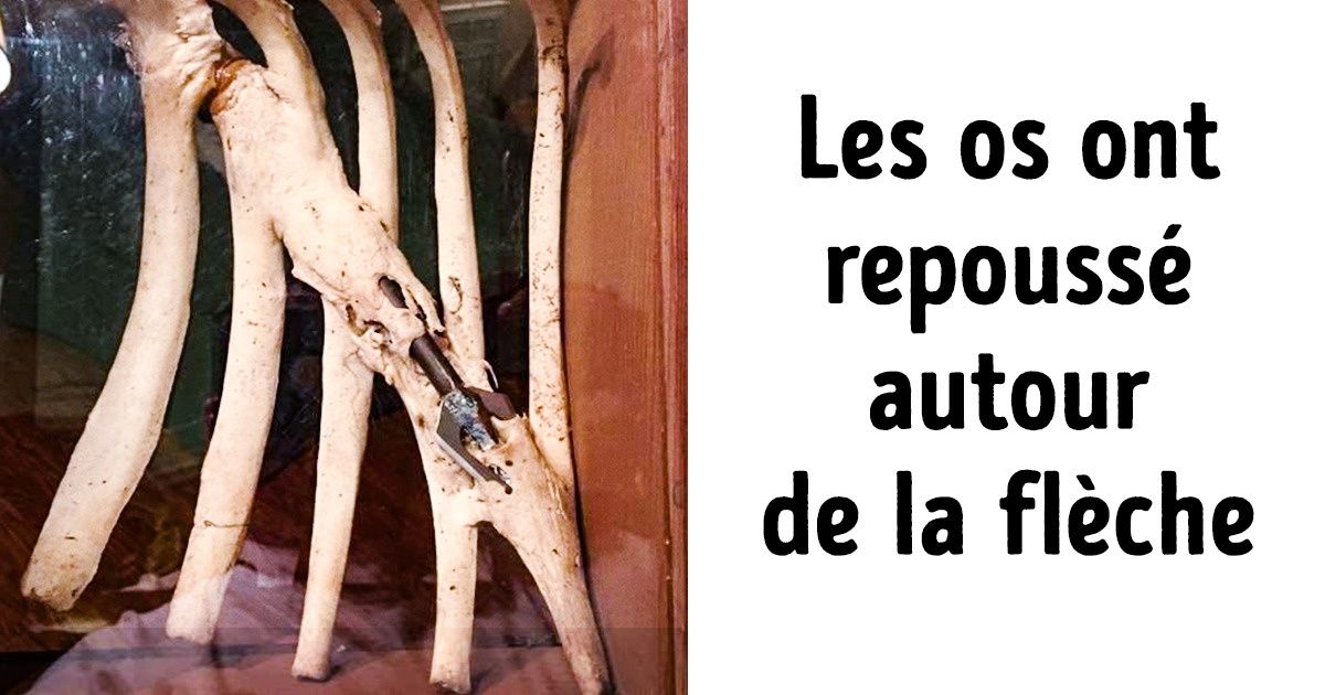 Le monde ne cessera jamais de nous surprendre et en voici les preuves