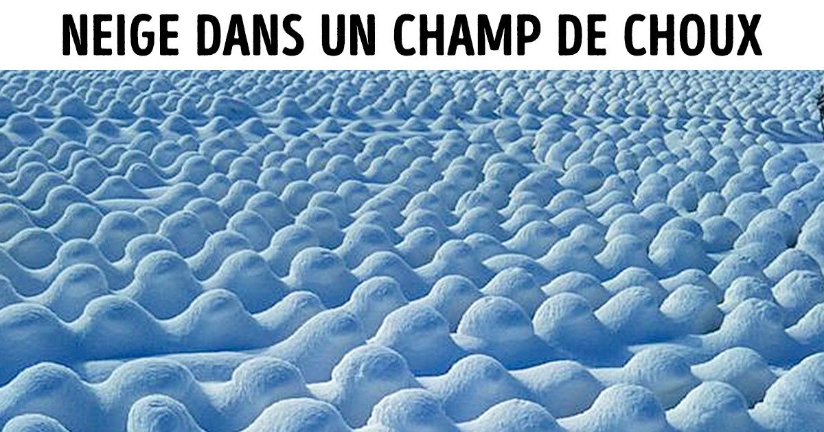 14 Photos géniales de notre vie quotidienne qui révèlent à quel point notre planète est incroyable !