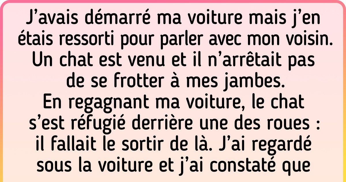 15+ Preuves que nos adorables chats ont des côtés presque humains parfois, pleins de douceur et d’amour