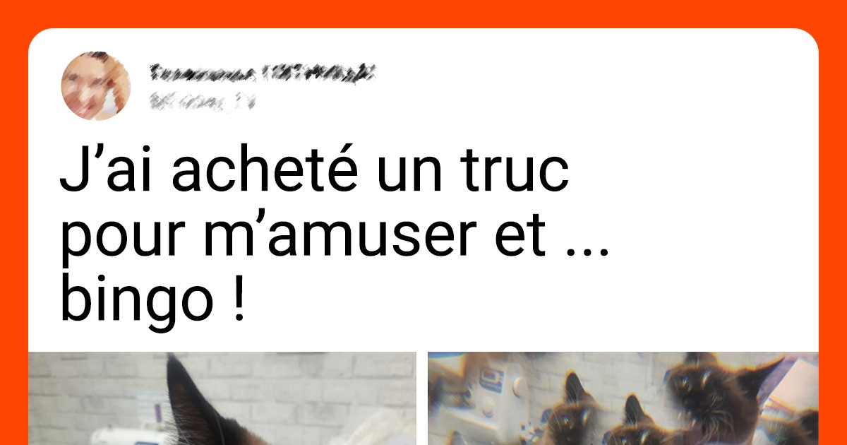 16 Personnes qui se sont offert l’objet de leurs rêves et en sont ravies