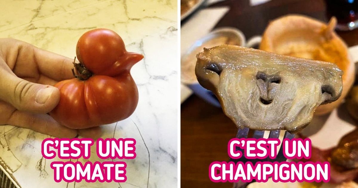 19 Fruits et légumes avec des formes tellement inhabituelles qu’ils pourraient être exposés dans un musée