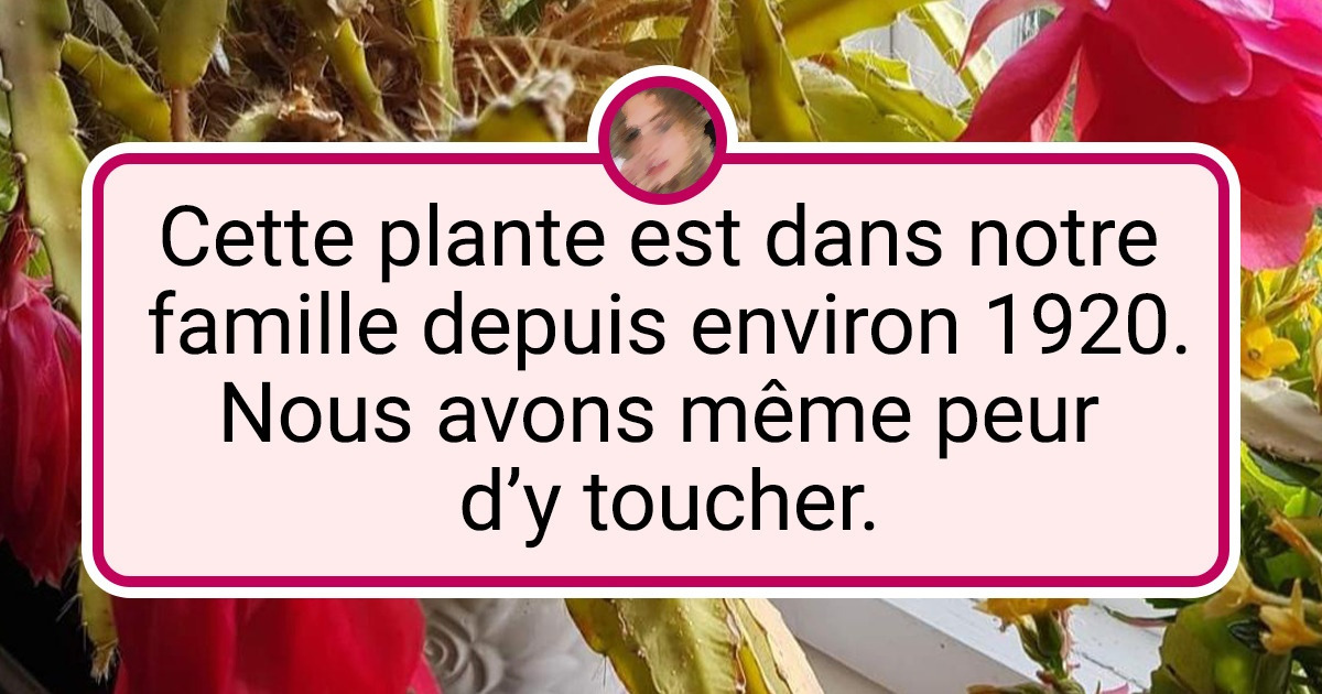15+ Personnes qui ont la main verte