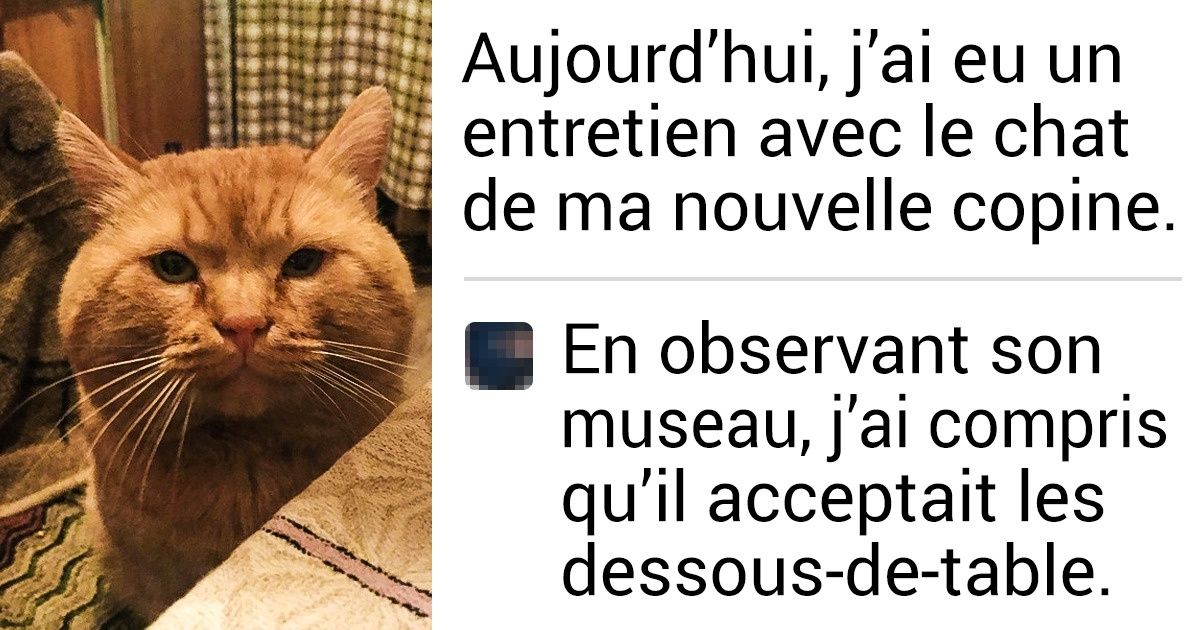 15 Commentaires sur les réseaux sociaux qui peuvent nous donner le sourire en quelques phrases !