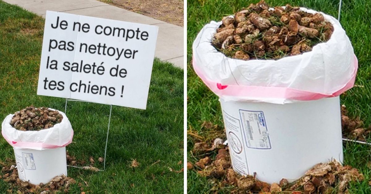 Regarde ces 19 photos si tu veux savoir ce qu’est la fatigue extrême