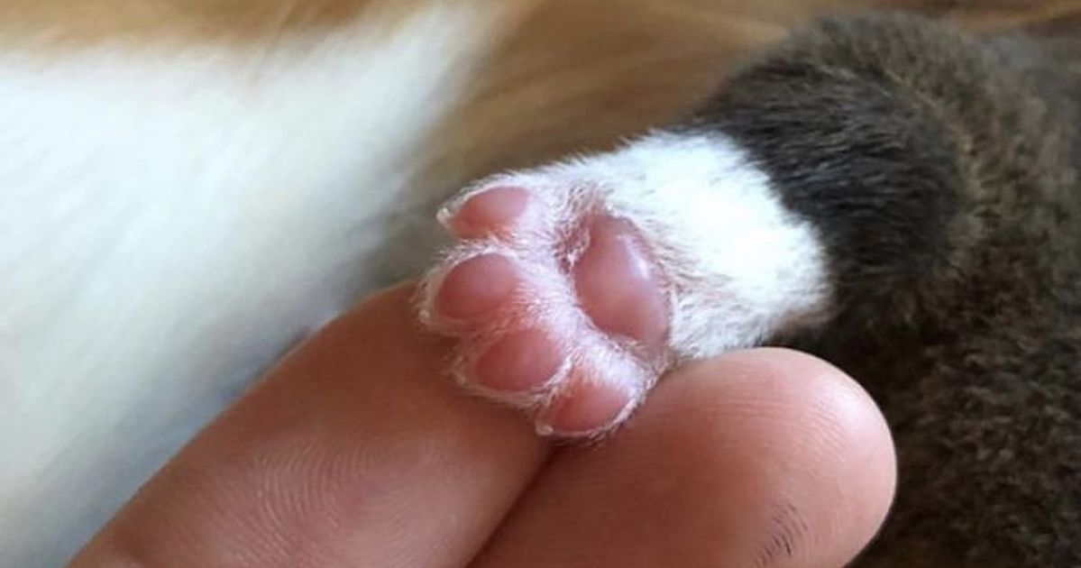 20+ Photos insolites sur le monde qui nous entoure
