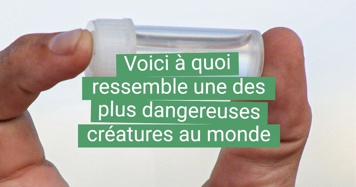 20+ Choses dont tout le monde a entendu parler, mais dont personne n’imagine pourtant la dimension réelle