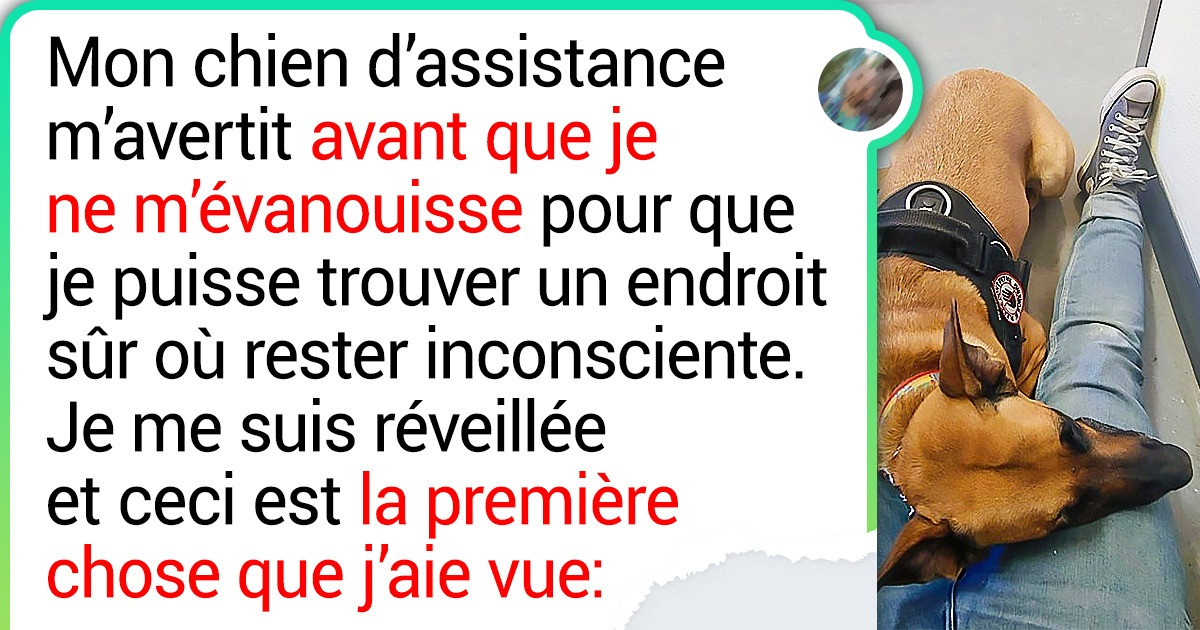 19 Moments empreints de tendresse qui nous ont fait verser une larme