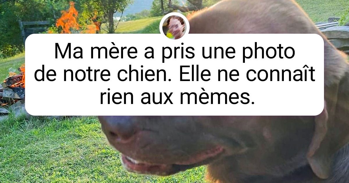 20+ Preuves que le monde devient parfois si imprévisible qu’on reste bouche bée
