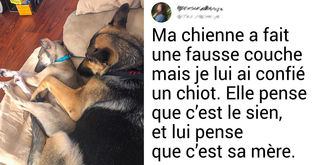 15 Photos touchantes qui prouvent que des merveilles se produisent tous les jours