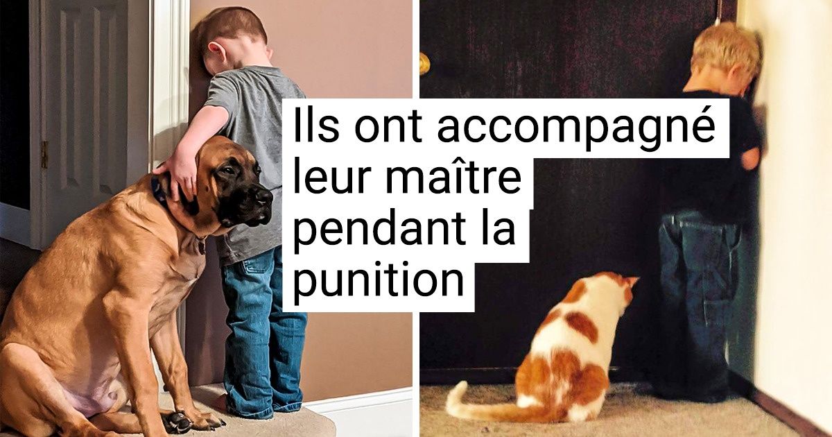 22 Clichés qui prouvent que les enfants et les animaux de compagnie sont les meilleurs alliés lorsqu’il s’agit de faire des bêtises