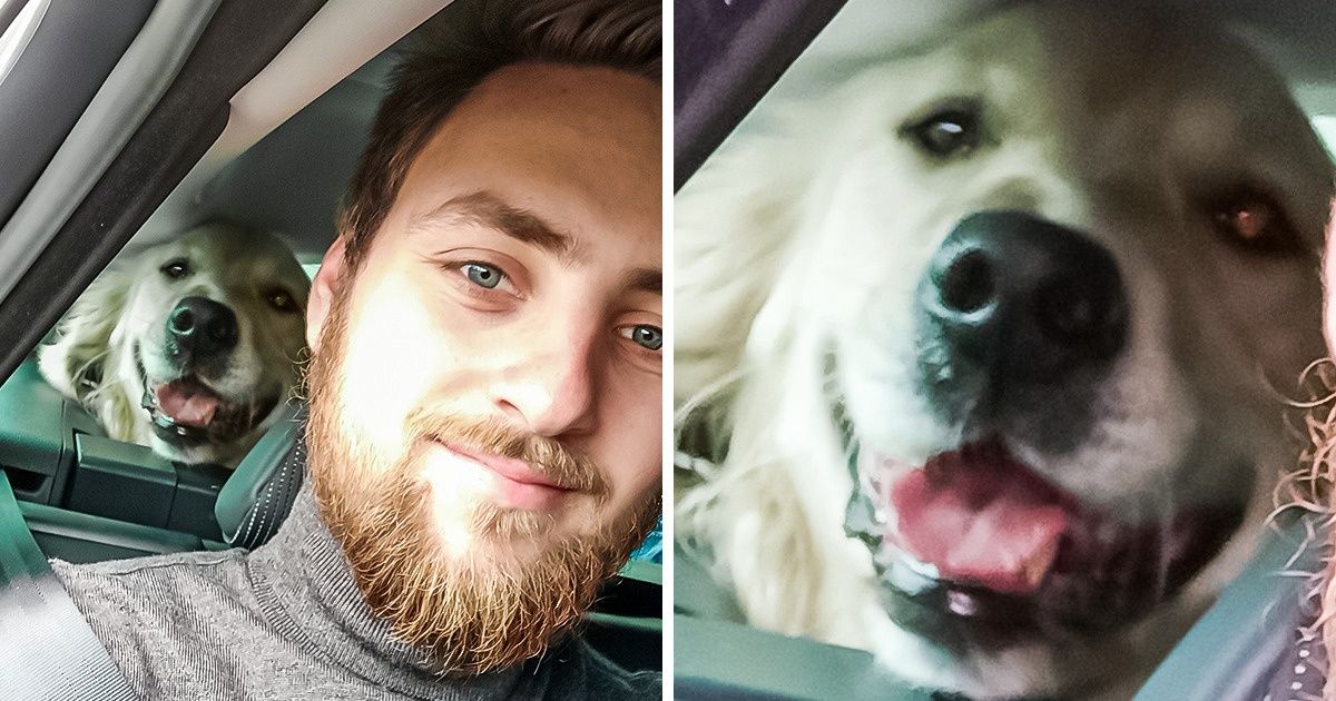 20 Animaux de compagnie qui ont volé la vedette à leur propriétaire le temps d’un selfie