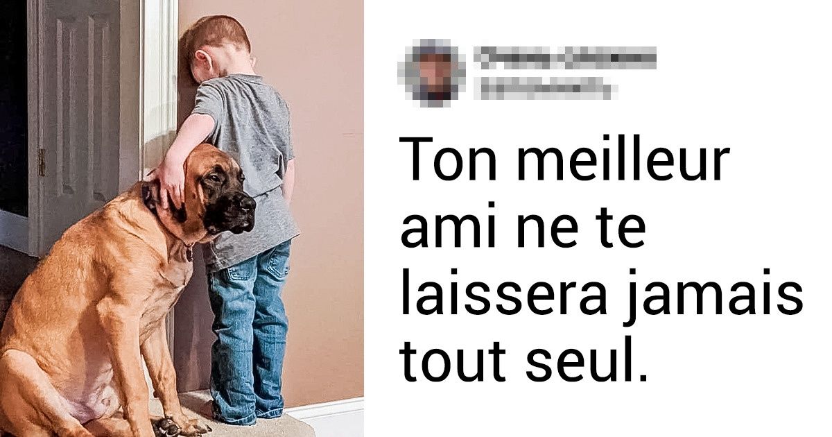 20+ Preuves touchantes que nos animaux de compagnie seront toujours avec nous, pour le meilleur ou pour le pire