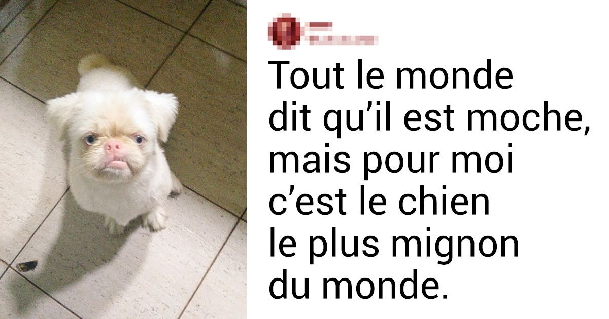 20+ Internautes ont partagé les photos les plus attendrissantes de leurs animaux de compagnie 20+ Internautes ont partagé les photos les plus attendrissantes de leurs animaux de compagnie