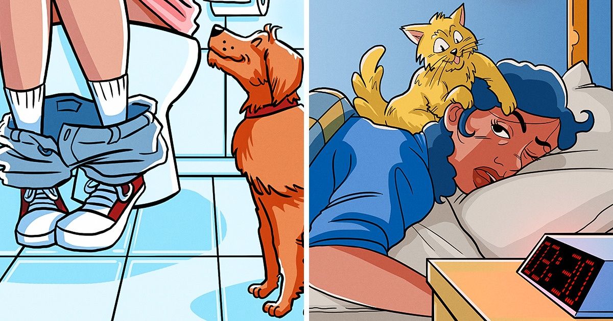 15 Situations que les propriétaires d’animaux de compagnie connaissent très bien