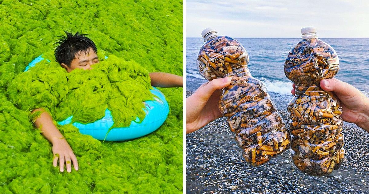 28 photos qui montrent à quel point notre planète est polluée