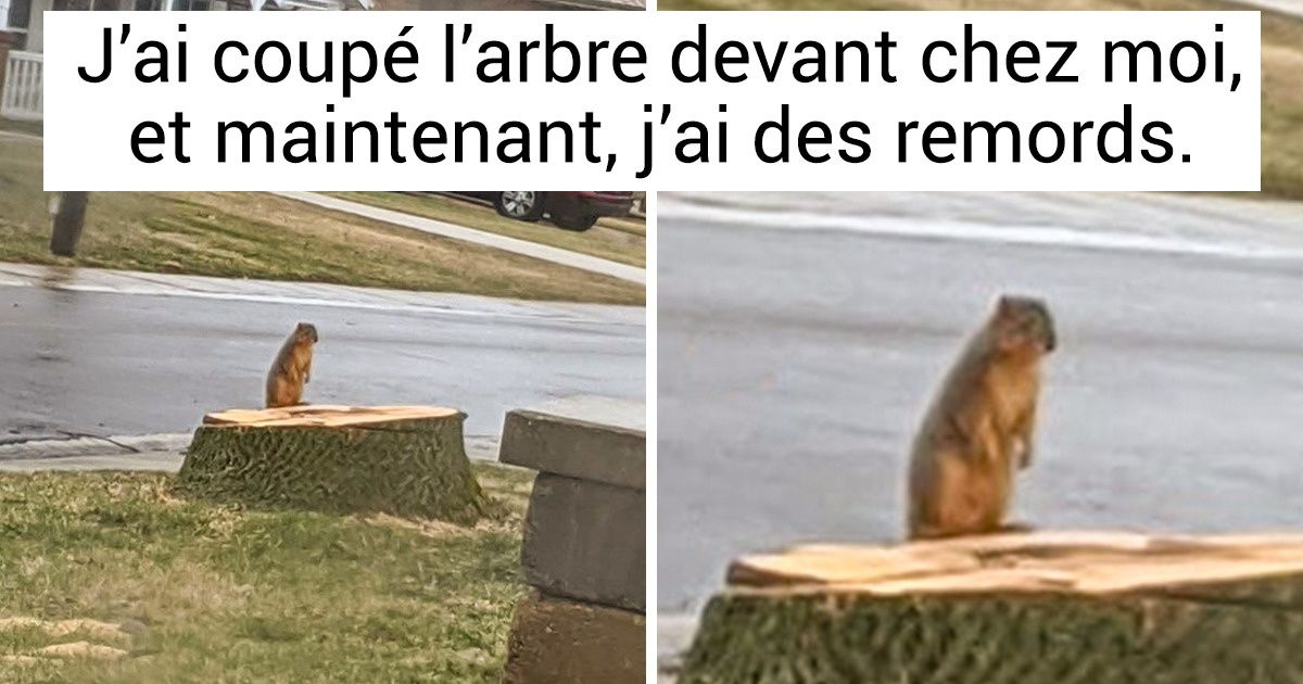 16 Photos montrant comment Mère Nature peut se sentir blessée quand on lui plante un couteau dans le dos