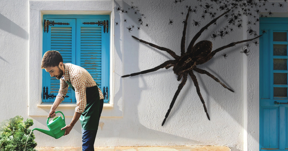 Et Si Des Araignées Géantes Occupaient Ta Ville