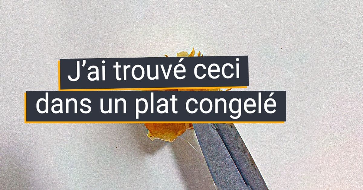 22 Trouvailles surprenantes dont l’usage est demeuré une énigme pendant longtemps, mais que les internautes ont su déterminer