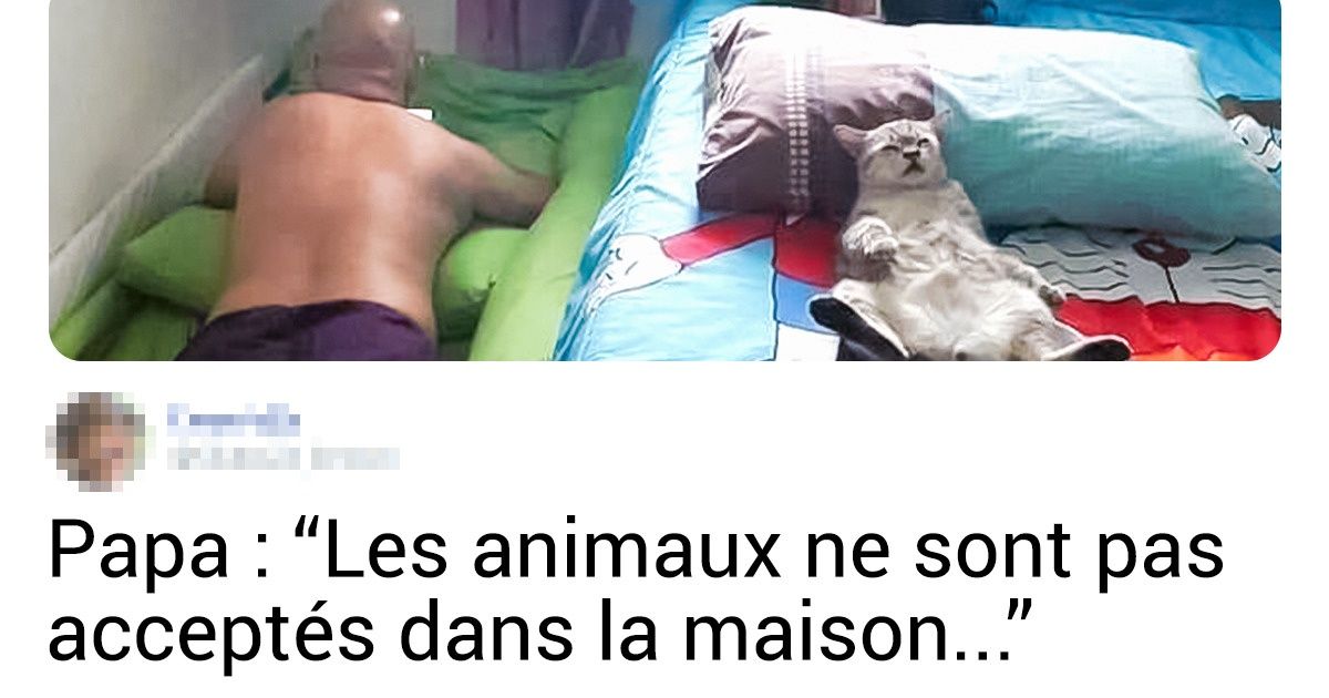 20 Internautes ont partagé des photos où leurs parents ont été dignes d’admiration
