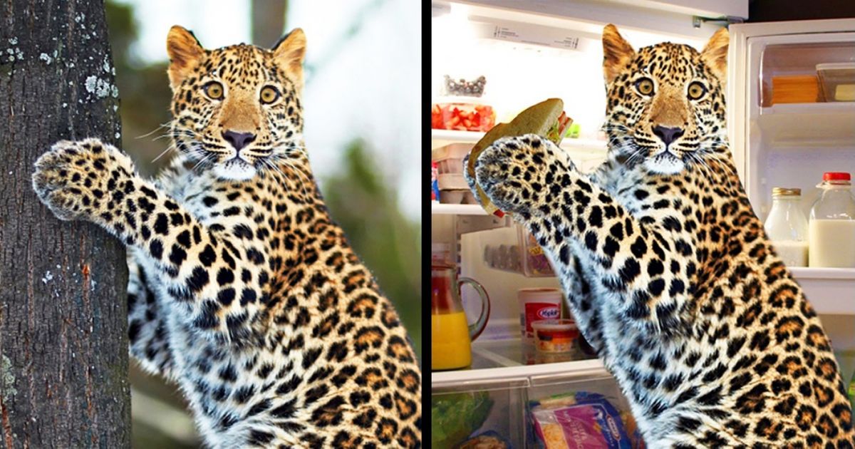 Ces 14 personnes n’ont pas pu résister : elles se sont amusées avec Photoshop