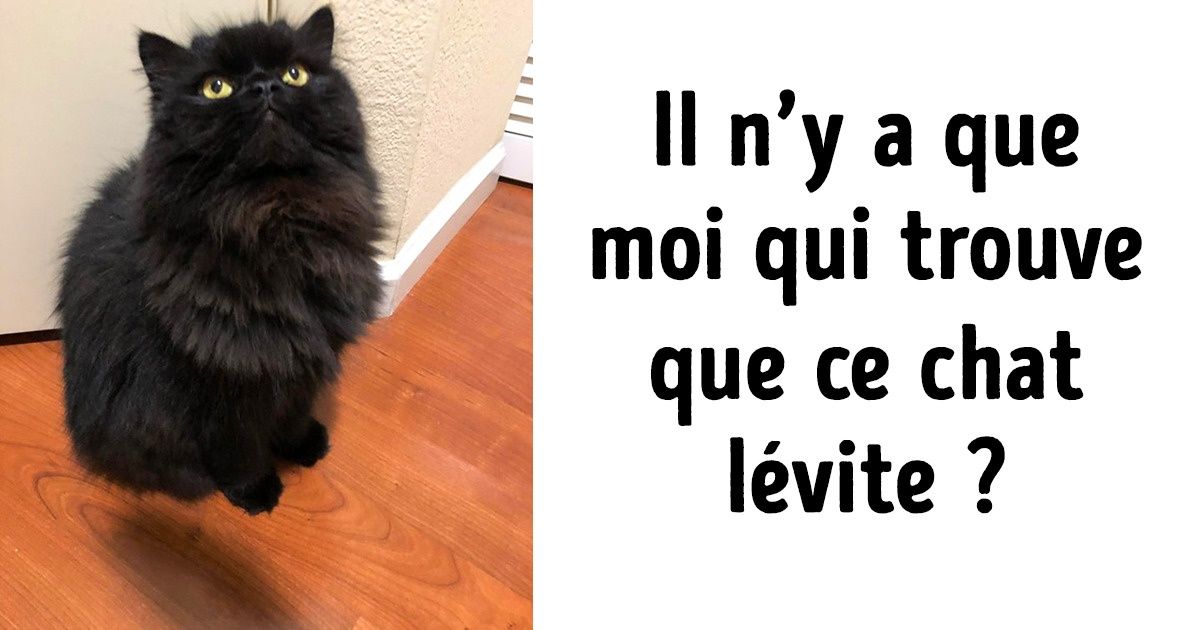 20 Photos de personnes qui voient toujours quelque chose d’étrange