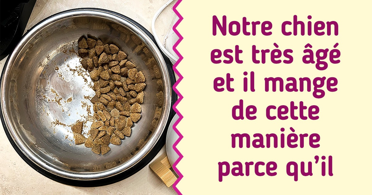 18 Photos qui paraissent tout à fait ordinaires tant que l’on n’a pas lu la légende