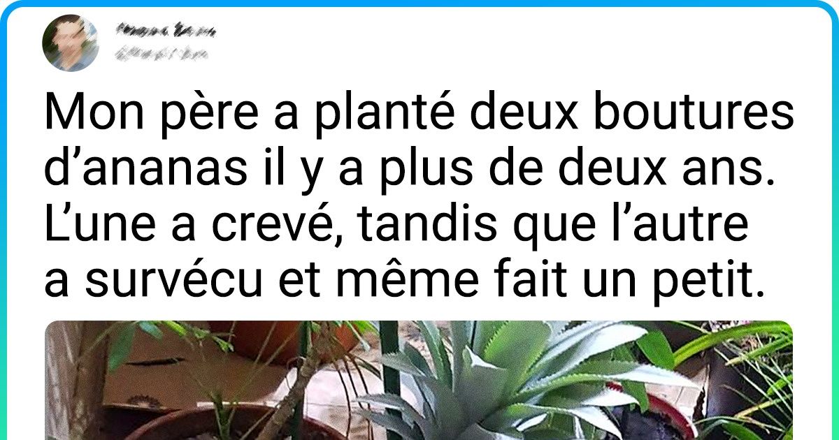 20 Surprises hallucinantes que la nature nous a réservées
