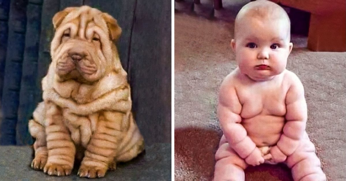 Découvre 21 personnes qui ressemblent vraiment à leur animal préféré !