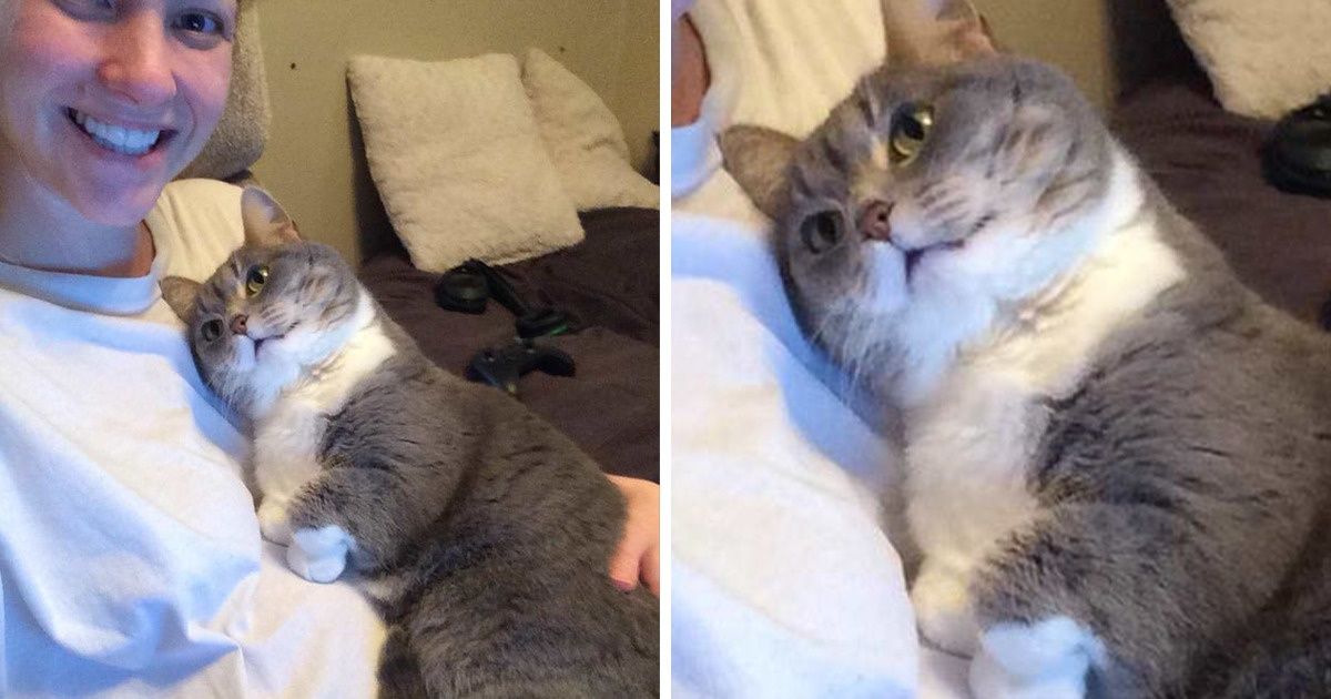 15 Animaux qui prennent vraiment soin de leurs humaines enceintes