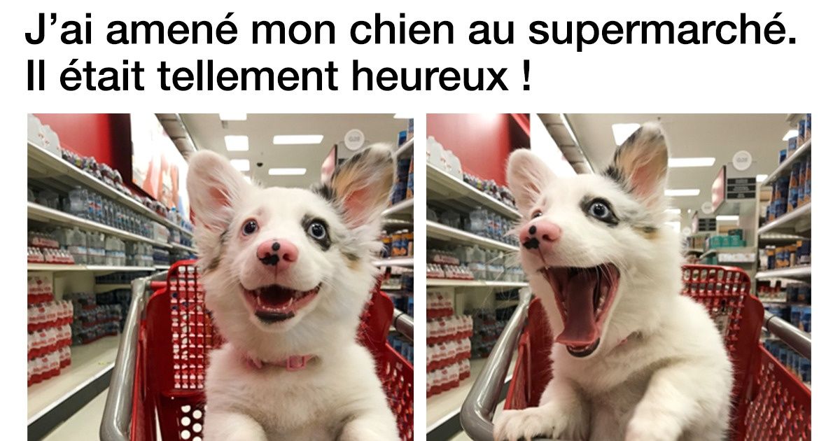 17 Tweets hilarants qui vont te rebooster pour toute la journée ! 17 Tweets hilarants qui vont te rebooster pour toute la journée !