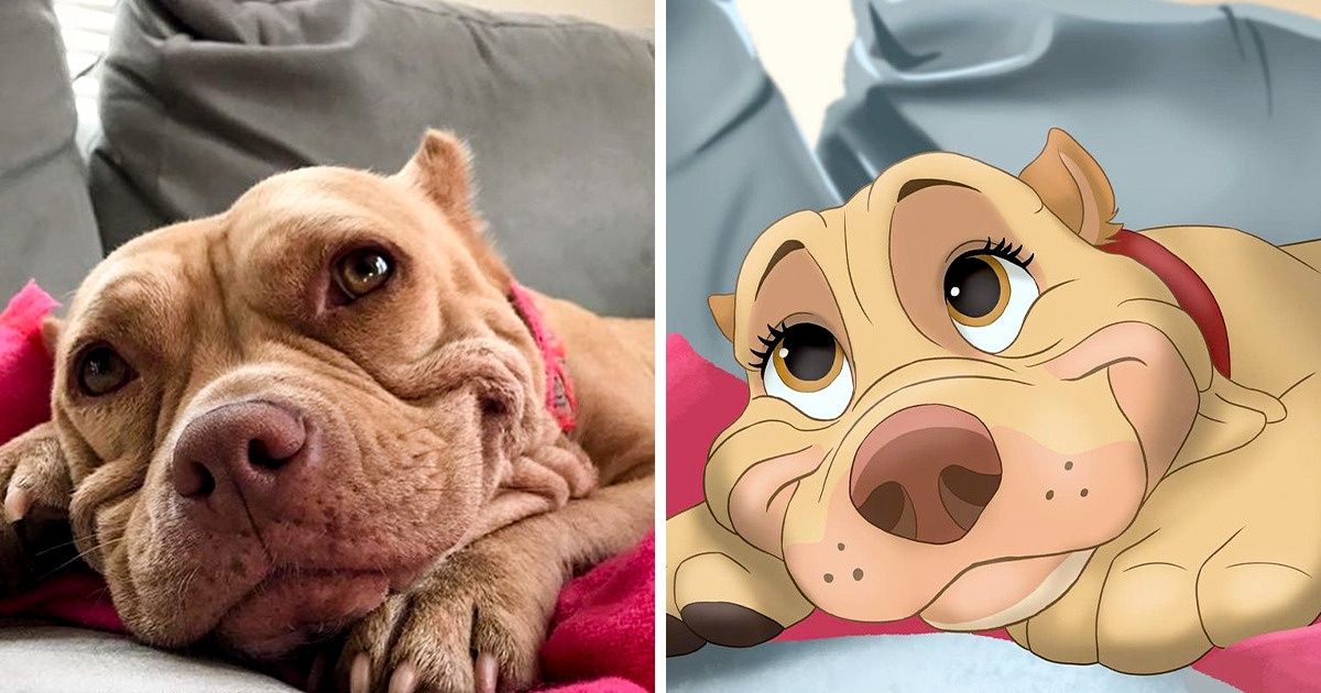 Une artiste “Disneyfie” les animaux des gens, et le tien pourrait peut-être être son prochain dessin