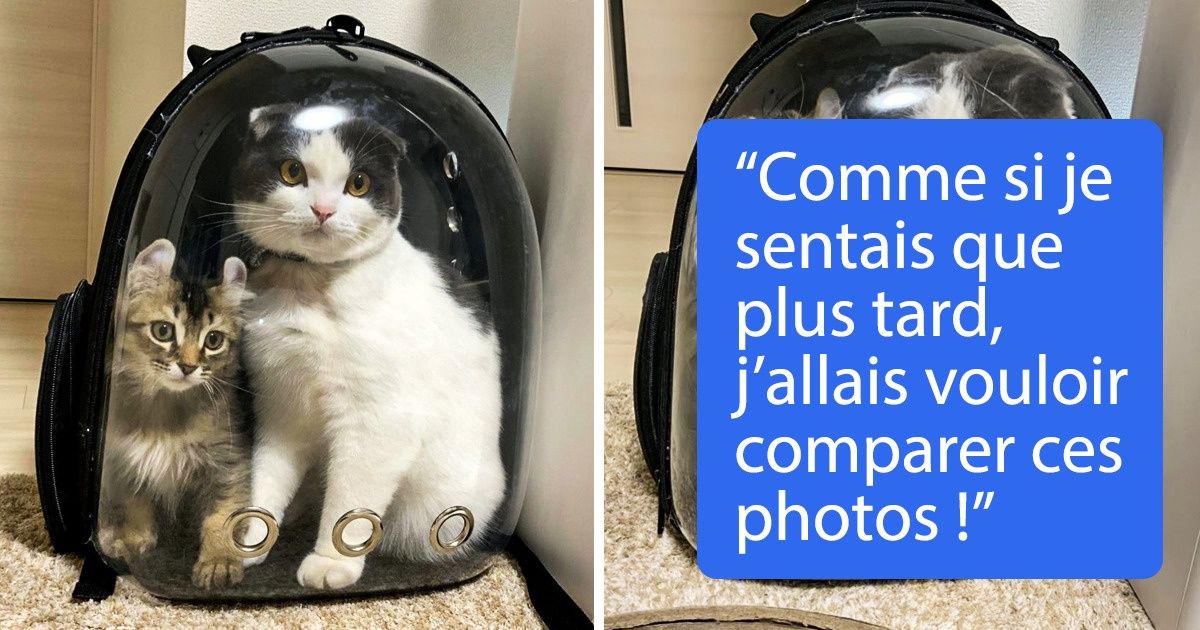 20 Photos d’animaux de compagnie qui sont devenus encore plus impressionnants avec les années