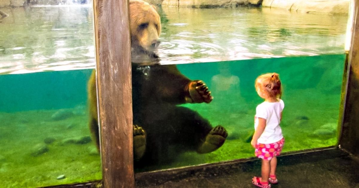 Ces 30 exemples prouvent que les enfants et les animaux sont bien les êtres les plus adorables de ce monde