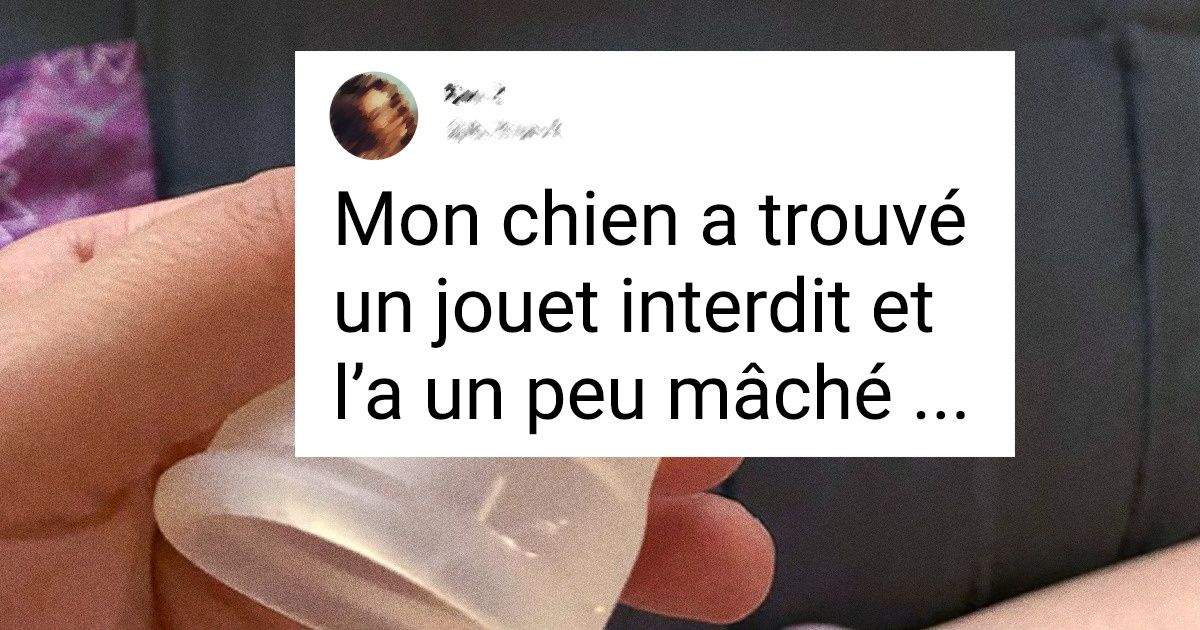 18 Photos dramatiques qui semblent être un mélange de feuilletons brésiliens et de films indiens