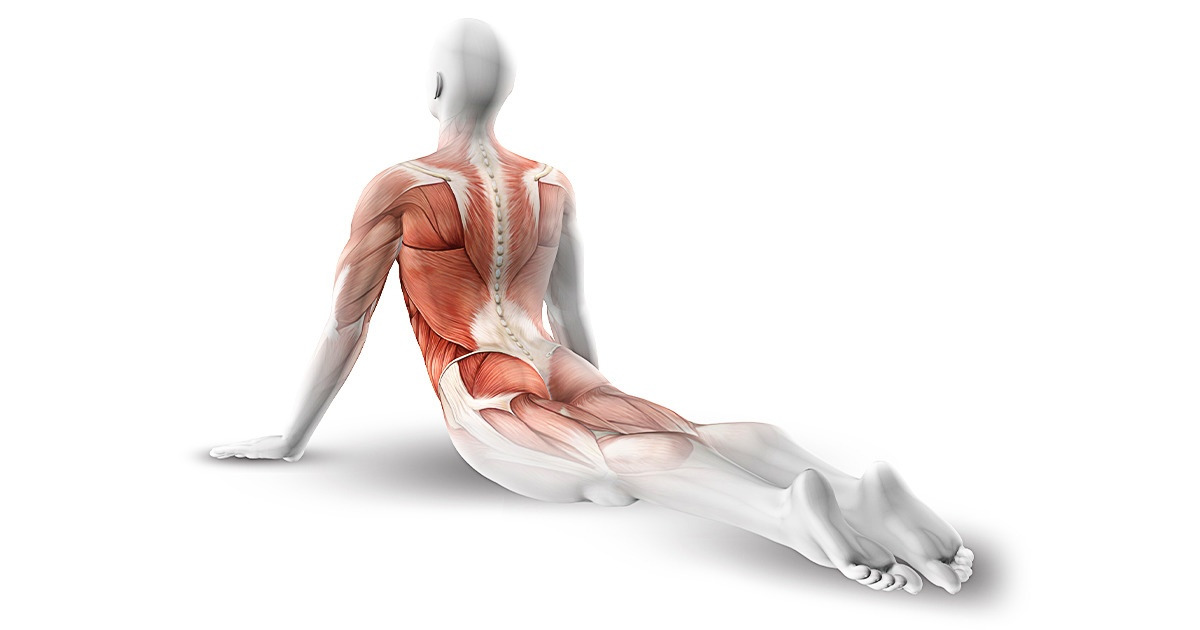 10 Exercices faciles pour mettre fin aux maux de dos et pour tonifier tes abdominaux en même temps 10 Exercices faciles pour mettre fin aux maux de dos et pour tonifier tes abdominaux en même temps