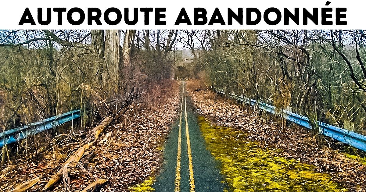 Ces 20 photos incroyables vont te laisser bouche bée !