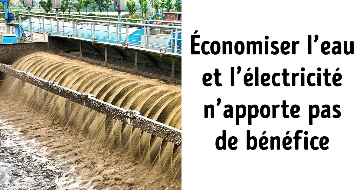 9 mythes sur l’écologie auxquels nous croyons depuis l’école 9 mythes sur l’écologie auxquels nous croyons depuis l’école