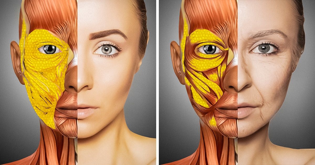 Comment notre corps change après l’âge de 30 ans et pourquoi le visage est la partie qui vieillit le plus rapidement