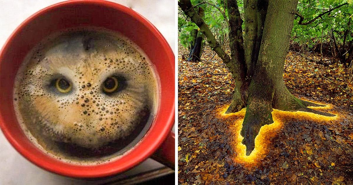 23 Photos qui rendront facilement jaloux les génies de Photoshop