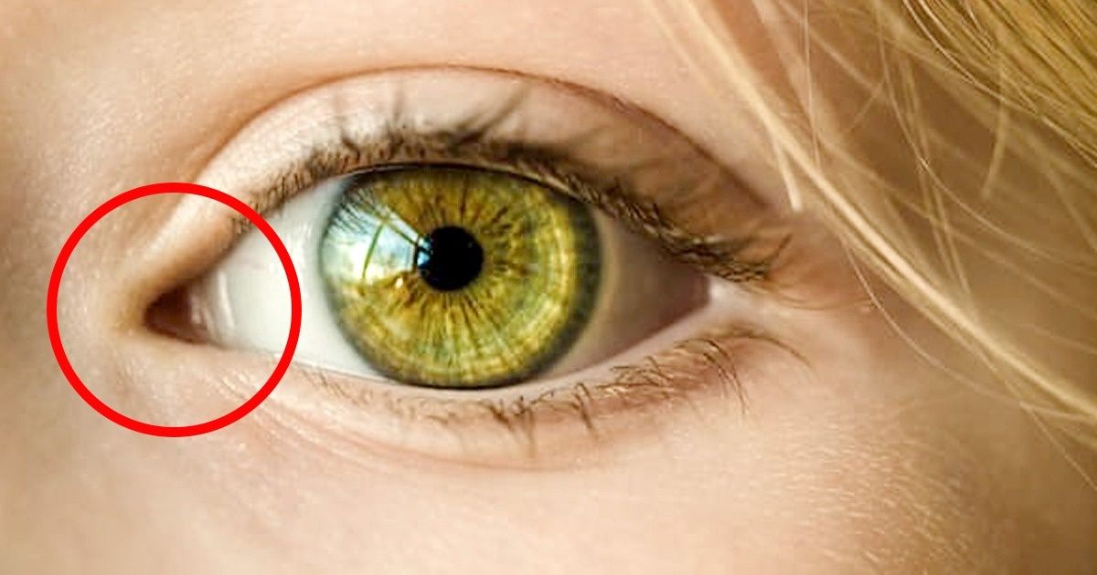 40 Choses Que Tu Ne Savais Pas Sur Les Yeux