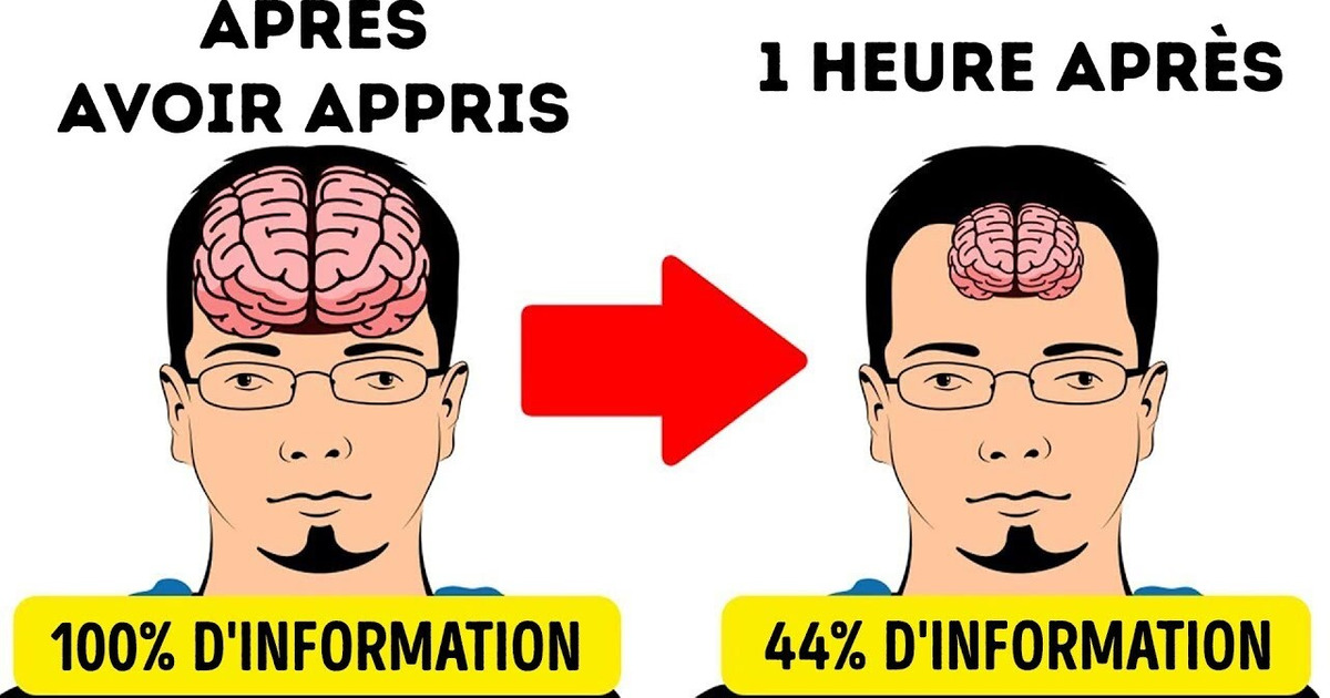 11 Secrets Pour Mémoriser Les Choses Plus Rapidement Que Les Autres