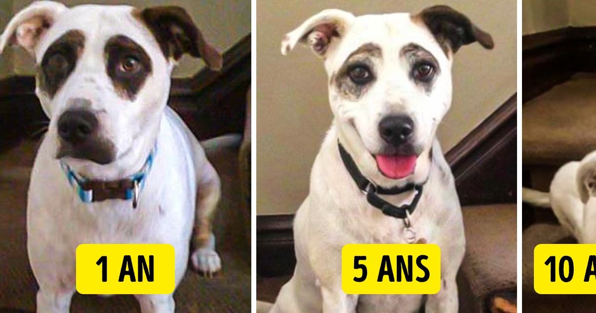 16 Personnes ont partagé leurs photos qui sont plus intéressantes qu’on ne le pense au premier abord