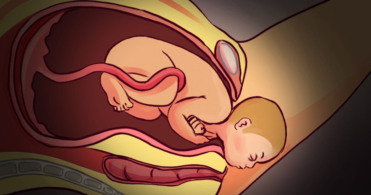 9 Informations fascinantes à propos de la grossesse qui montrent que le corps d’une femme n’arrête jamais de nous surprendre 9 Informations fascinantes à propos de la grossesse qui montrent que le corps d’une femme n’arrête jamais de nous surprendre