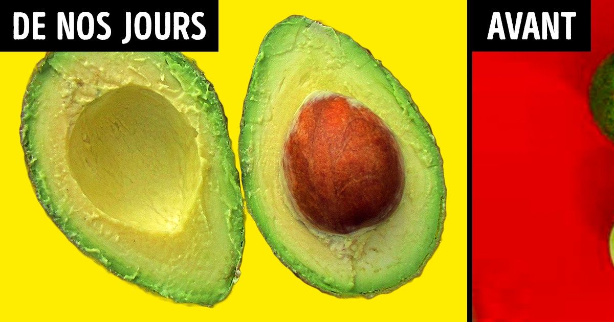 Ce à quoi ressemblaient les fruits et légumes auparavant (on ne s’attendait pas à des bananes pareilles !)