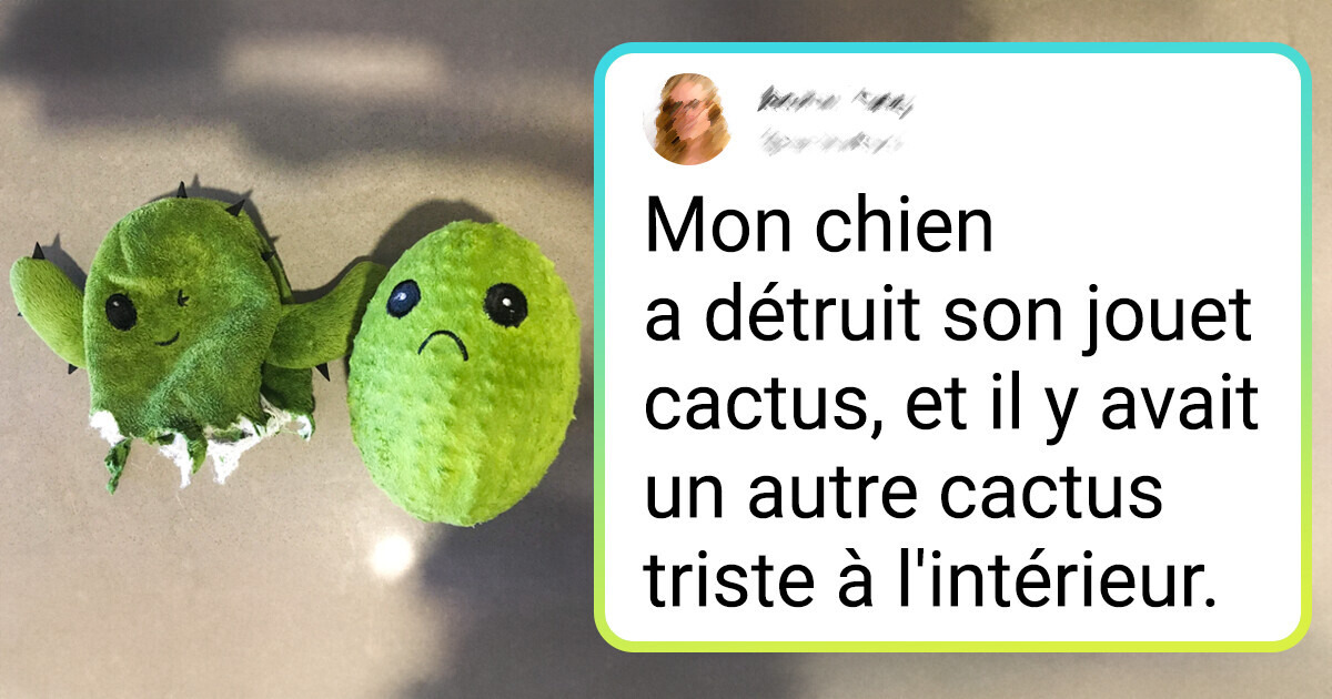 20 Fois où l’ouverture d’une chose a révélé des trésors cachés