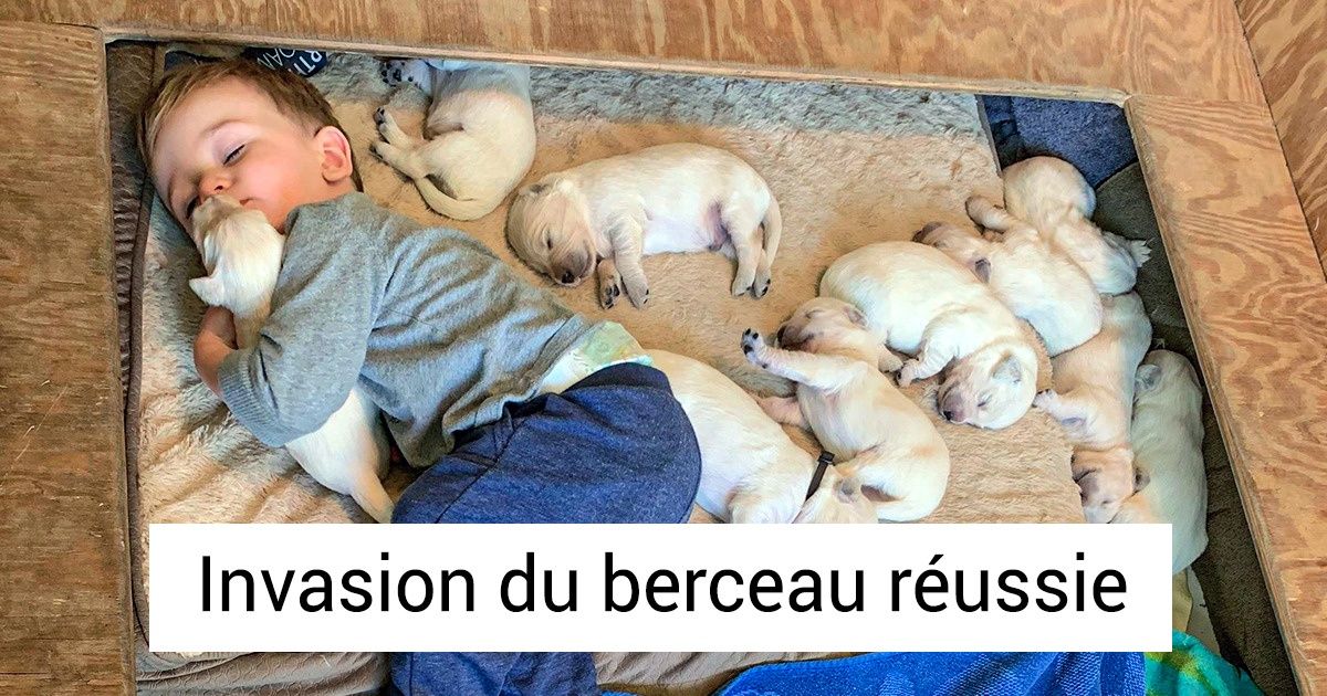 20 Photos pleines de tendresse qui te donneront envie de serrer dans tes bras les gens que tu aimes 20 Photos pleines de tendresse qui te donneront envie de serrer dans tes bras les gens que tu aimes