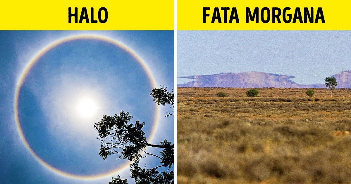 La nature n’a vraiment pas besoin de Photoshop pour nous surprendre, et ces exemples le prouvent !