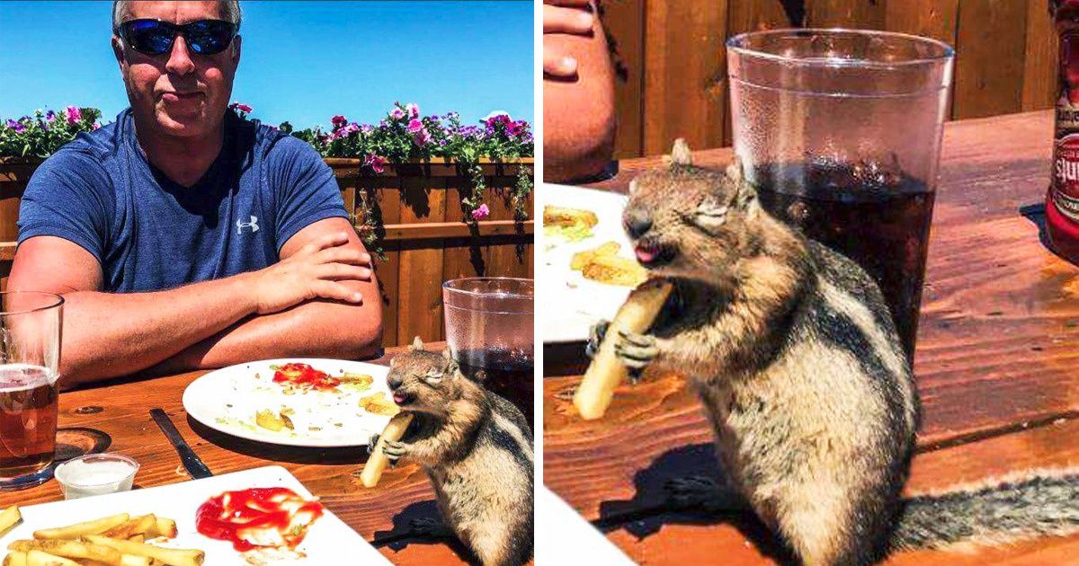 14 Photos qui te feront oublier le blues automnal